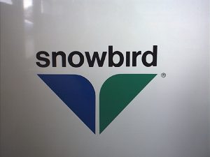 Snowbird
